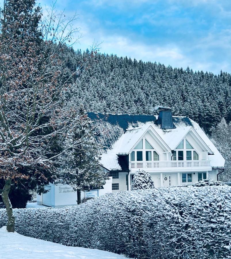 Landhaus Muehlenberg 빌링겐 외부 사진